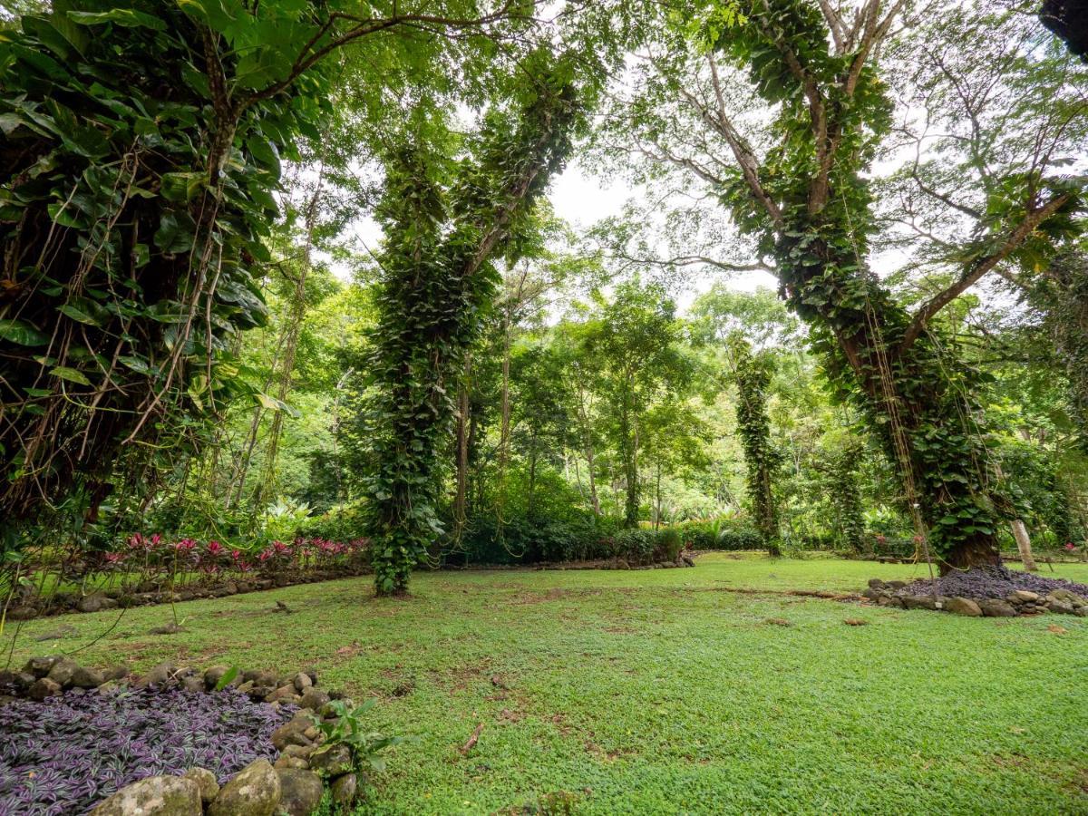 Lapas Jungle Village Station touristique