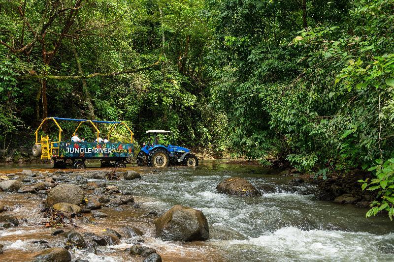 Lapas Jungle Village Tárcoles