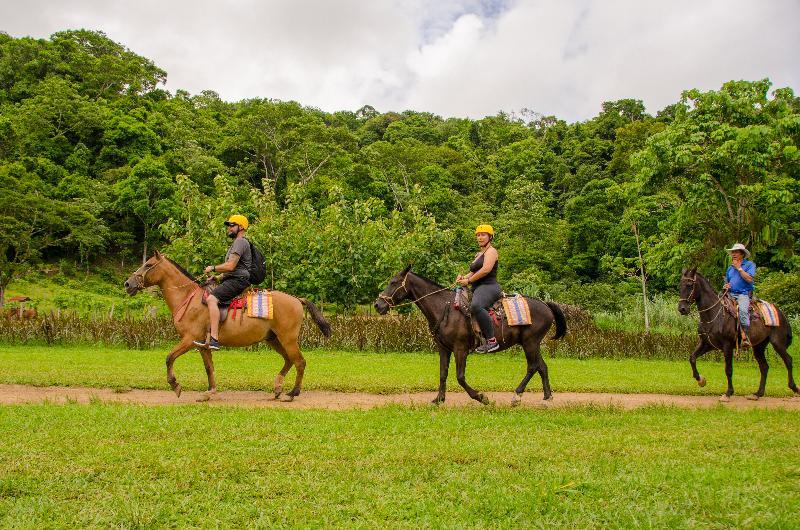 Lapas Jungle Village Station touristique