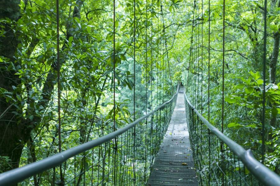 Lapas Jungle Village Tárcoles